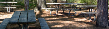 Picnic area at Island Ford - Photo by Matt Harr