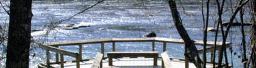 Overlook at Jones Bridge - Photo by Matt Harr
