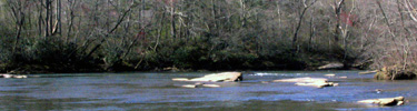 Shoals at Jones Bridge - Photo by Matt Harr