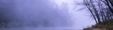 Misty Morning in the Palisades Area - Photo by Tom Wilson