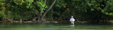 Fisherman in the Palisades Area - Photo by Tom Wilson