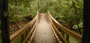 Footbridge at Whitewater Creek - Photo by Matt Harr