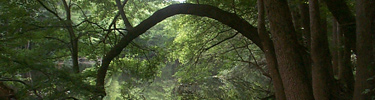Weston Lake
