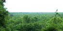 Congaree National Park Congaree National Park