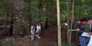 Students learn about the diverse forest community at Congaree National Park Students learn about the diverse forest community at Congaree National Park