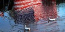 American flag reflected in Cane River Lake as ducks swim by, Photo by Sonny Carter American flag reflected in Cane River Lake as ducks swim by, Photo by Sonny Carter