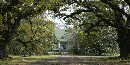 Magnolia Plantation Home, Photo by John Lees Magnolia Plantation Home, Photo by John Lees