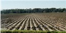 Plowed field ready for planting, Photo by NPS Plowed field ready for planting, Photo by NPS