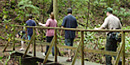 Hikers on the Sugar Run trail. Hikers on the Sugar Run trail.