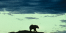 Image of bear silhouetted against sky Image of bear silhouetted against sky