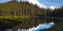 Major vegetation monitoring should allow detection, understanding and potential management of vegetation change Major vegetation monitoring should allow detection, understanding and potential management of vegetation change