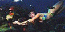 Woman Snorkeling Woman Snorkeling