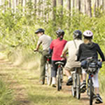 Activiete in different parts of the Everglades.