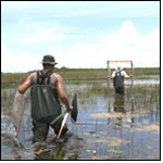 Science Center for Everglades National Park
