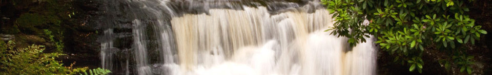 A waterfall in the park