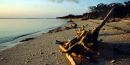 Everglades Coastline Everglades Coastline