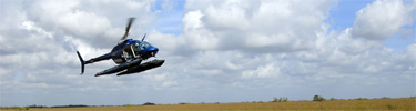 Helicopter Landing in the Marsh