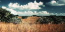 Sawgrass Prairie Sawgrass Prairie