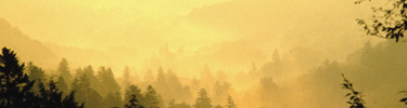 Great Smoky Mountains National Park is named for the misty 'smoke' that often hangs over the park.