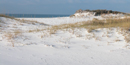 The long roots of the sea oats help hold the dunes together. The long roots of the sea oats help hold the dunes together.