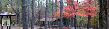 Picnic Area in Fall
