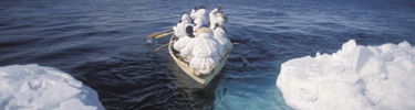 Image of a whaling crew paddling away from the shore-fast ice. Photo provided by Luciana Whitaker.