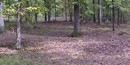 Untouched, protected earthworks at Cheatham Hill. Untouched, protected earthworks at Cheatham Hill.
