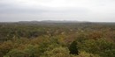 trees in the foreground with the Kings Mountain range in the background trees in the foreground with the Kings Mountain range in the background