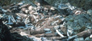 pile of boards and canvas in ruin on rocks pile of boards and canvas in ruin on rocks
