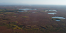 Image of shrubs and berry plants on the tundra near blue lakes turn red and gold in the fall. Image of shrubs and berry plants on the tundra near blue lakes turn red and gold in the fall.
