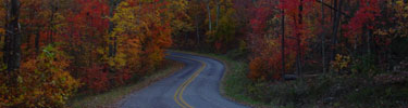 Fall Colors along Scenic Drive