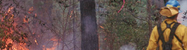 Fire at Little River Canyon