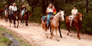 Horseback Riding in the Backcountry Horseback Riding in the Backcountry