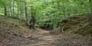 The Sunken Trace at mile post 41.5 on the Natchez Trace Parkway The Sunken Trace at mile post 41.5 on the Natchez Trace Parkway