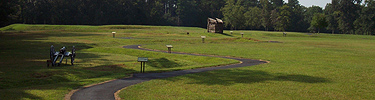 Sunny battlefield