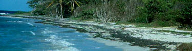 Salt River beach