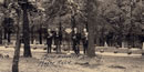 Confederate Burial Trench Confederate Burial Trench