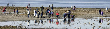 School children enjoy a field trip to the park's beach.