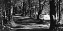 Historic photo of a park trail Historic photo of a park trail