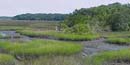 Marsh at the Theodore Roosevelt Area Marsh at the Theodore Roosevelt Area