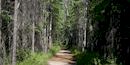 Historic Valdez Trail Historic Valdez Trail