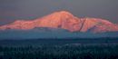 Alpine glow on an Alaskan giant Alpine glow on an Alaskan giant