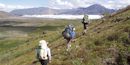 Backpackers Backpackers
