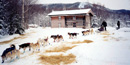 Musher leaving Slavens Cabin Musher leaving Slavens Cabin