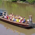 Image of people waving from a boat on a bayou