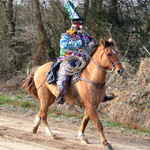 Image of man dress in brightly colored homemade Mardi Gras costume riding a horse