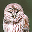 Frequently asked questions about the preserve