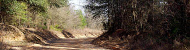 Dirt Road in Archery