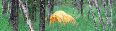 Tent in Brooks Campground