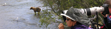 Visitor viewing bears from the falls platform